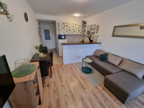 Apartment IVANA